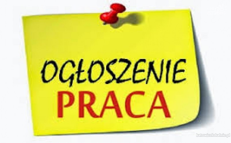 Chcesz pracować za granicą, ale nie znasz angielskiego? Zgłoś się do nas!!