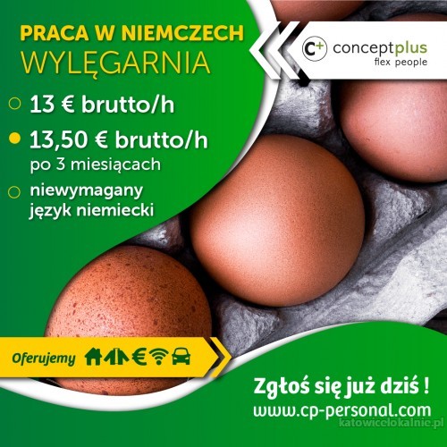 Pracownik wylęgarni - bez znajomości niemieckiego - 13,5€