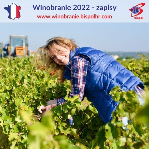 Winobranie Francja 2022