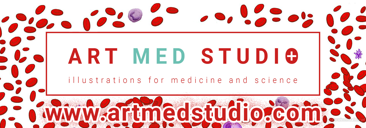 ilustracje-medyczne-anatomiczne-naukowe-ryciny-medyczne-70244-pozostale.jpg