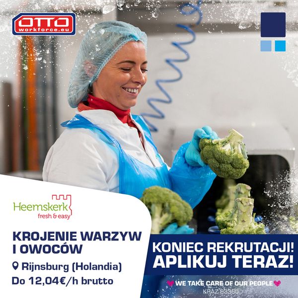 Praca na linii produkcyjnej ze świeżą żywnością, Holandia