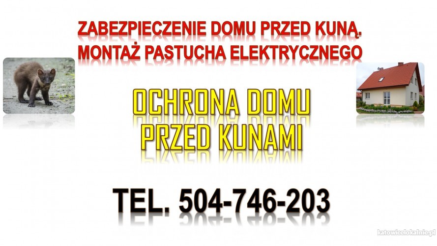ile-kosztuje-pastuch-elektryczny-na-kuny-tel-504-746-203-odstraszanie-75563-katowice.jpg