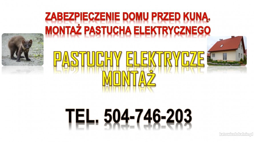 ile-kosztuje-pastuch-elektryczny-na-kuny-tel-504-746-203-odstraszanie-75563-pozostale.jpg