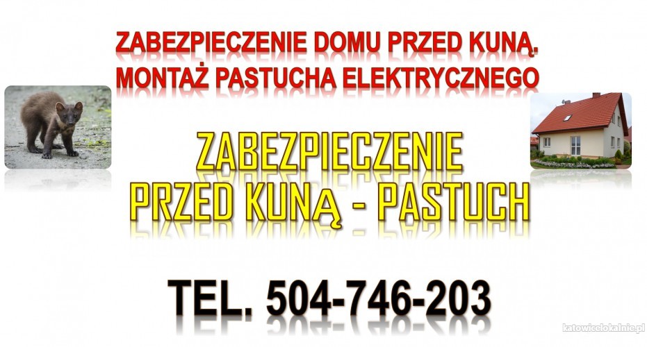 ile-kosztuje-pastuch-elektryczny-na-kuny-tel-504-746-203-odstraszanie-75563-sprzedam.jpg