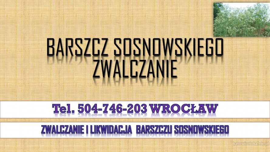 3_barszcz_sosnowskiego_usuniecie_cennik.jpg