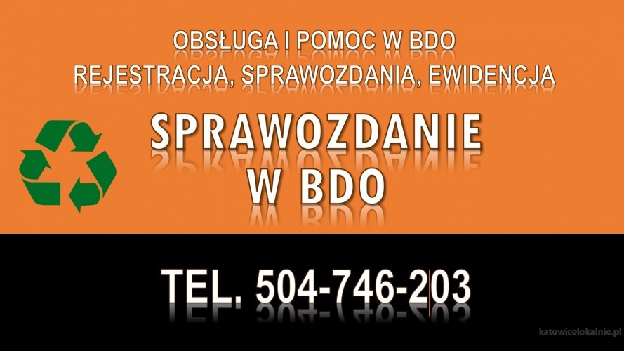 2_ile_kosztuje_raport_do_bdo.jpg