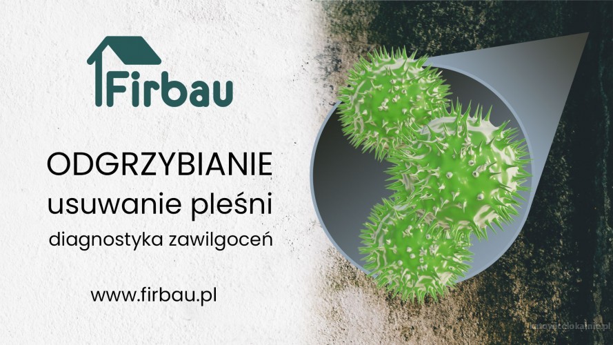 ODGRZYBIANIE  ŚCIAN BUDYNKÓW