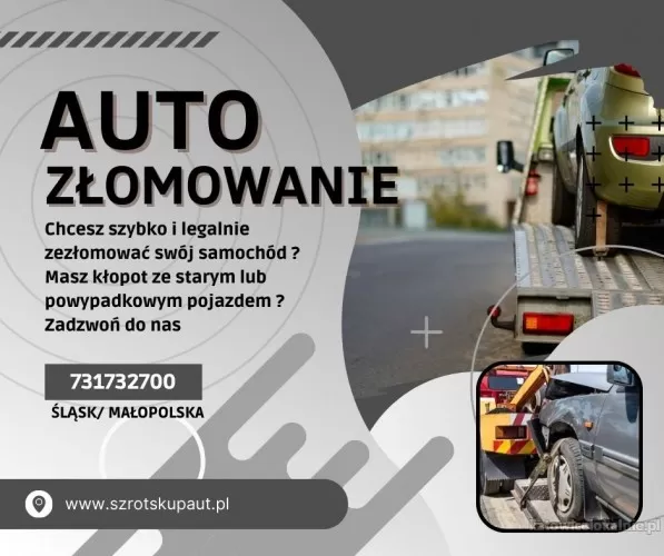 auto-zlomowanie-z-dojazdem_(3).webp