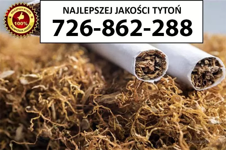 Super Jakości TYTOŃ 75PLN/1KG