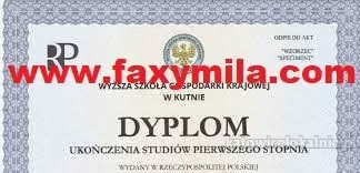 Wyższe wykształcenie lub matura Legalny dyplom i świadectwo