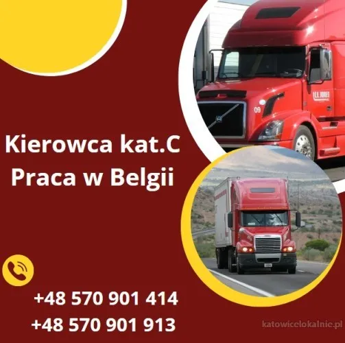 Kierowca kat. C praca w Belgii