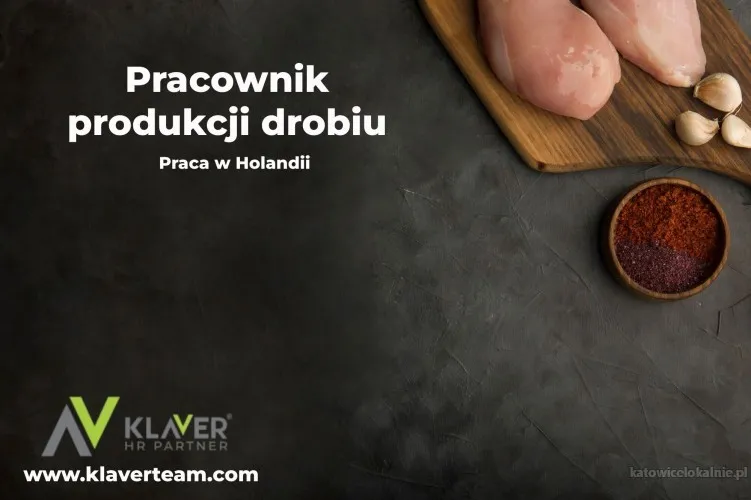 Praca za granicą- Pracownik produkcji drobiu- praca od zaraz