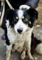 Poznaj Azę, wojowniczkę o drugą szansę na szczęście