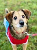 Saba -łagodna, cierpliwa, kochana seniorka!