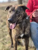 Blum - młody, wesoły, pełen energii i życia!