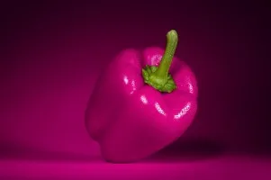 Praca w Holandii  Uprawa papryki