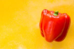 Praca w Holandii Uprawa papryki