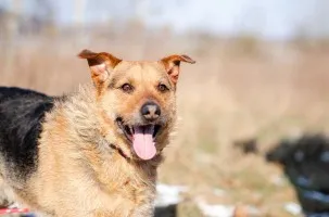 Fantastyczny Kufel marnuje się za kratami!