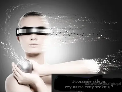 Uruchomienie sklepu internetowego.