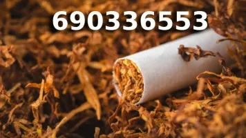 Bardzo Dobrej Jakości tani TYTOŃ na wagę 90 PLN/1KG