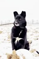 Bunia- kolejna ofiara podłości człowieka...