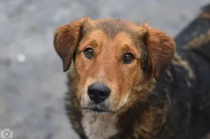 Kapral - nikt go nigdy nie kochał...