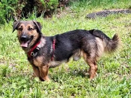 Kapsel - młody, niewielki, przyjazny, rodzinny