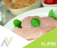 Holandia praca od zaraz produkcja mięsa bez języka bez doświadczenia