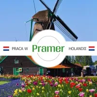 Pracownik sortowni warzyw - praca długoterminowa - praca w Holandii