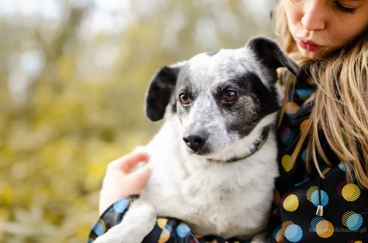 Alvin - całe życie za kratami BŁAGAMY o pomoc