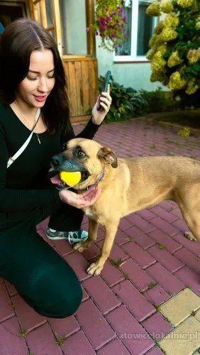 aza-zakochana-w-ludziach-wesola-pelna-zycia-89849-psy.webp
