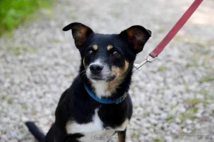 Natka - mała wojowniczka o wielkim sercu!