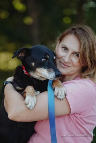 Cudowny Puszek szuka domu!