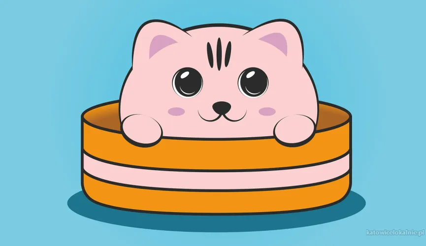 Koty w azylu czekają na Twoją pomoc!