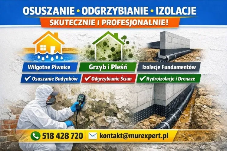 Profesjonalne_osuszanie_budynków_piwnic_odgrzybianie_izolacje_fundamentów_-_skuteczne_rozwiązania_dla_Twojego_domu.webp